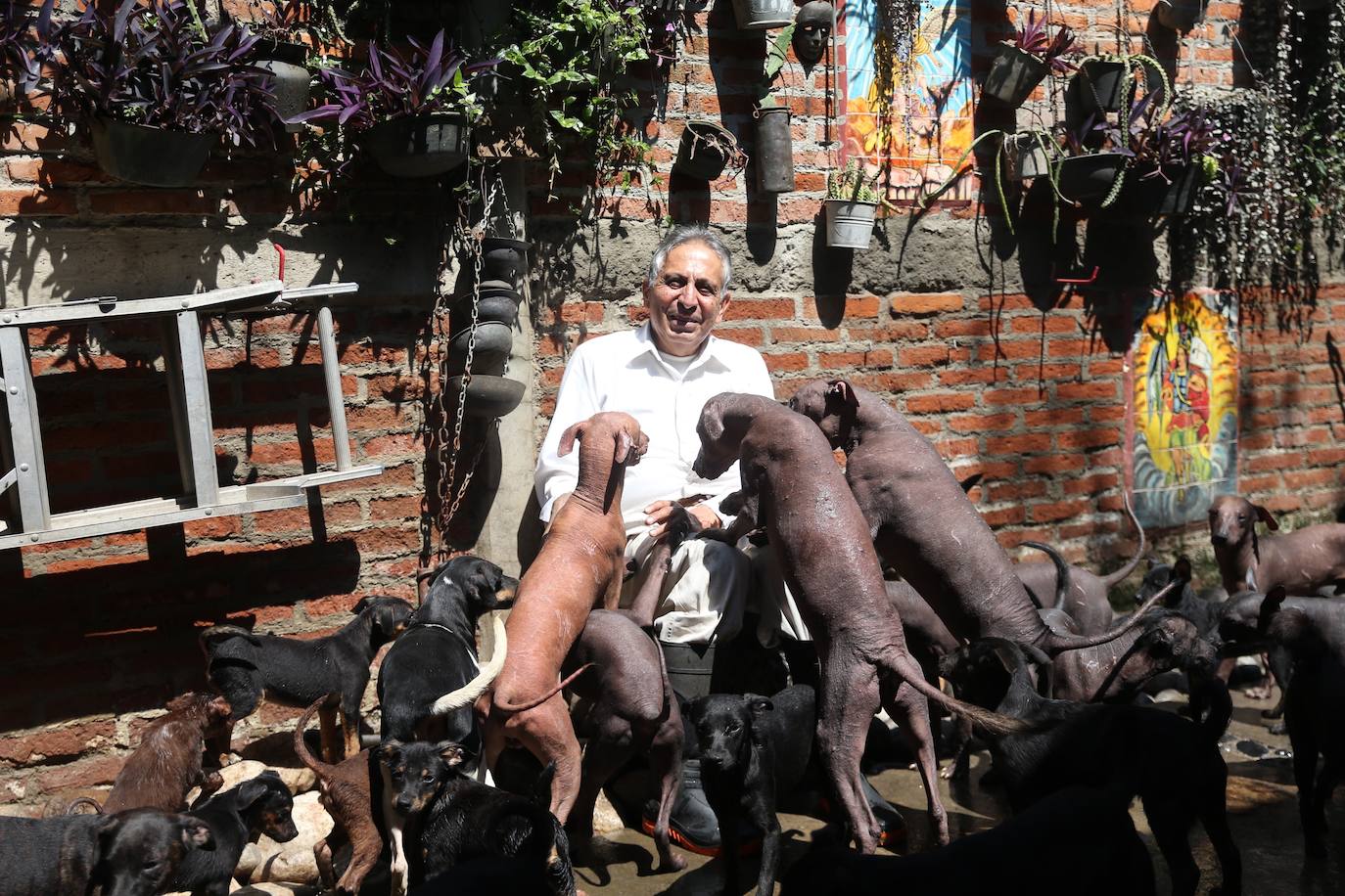 Fotos: De guía de los muertos a raza de moda