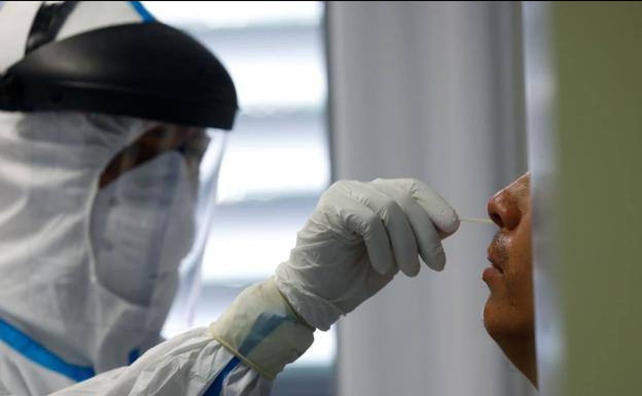 Un sanitario realiza una PCR, en una fotografía de archivo.