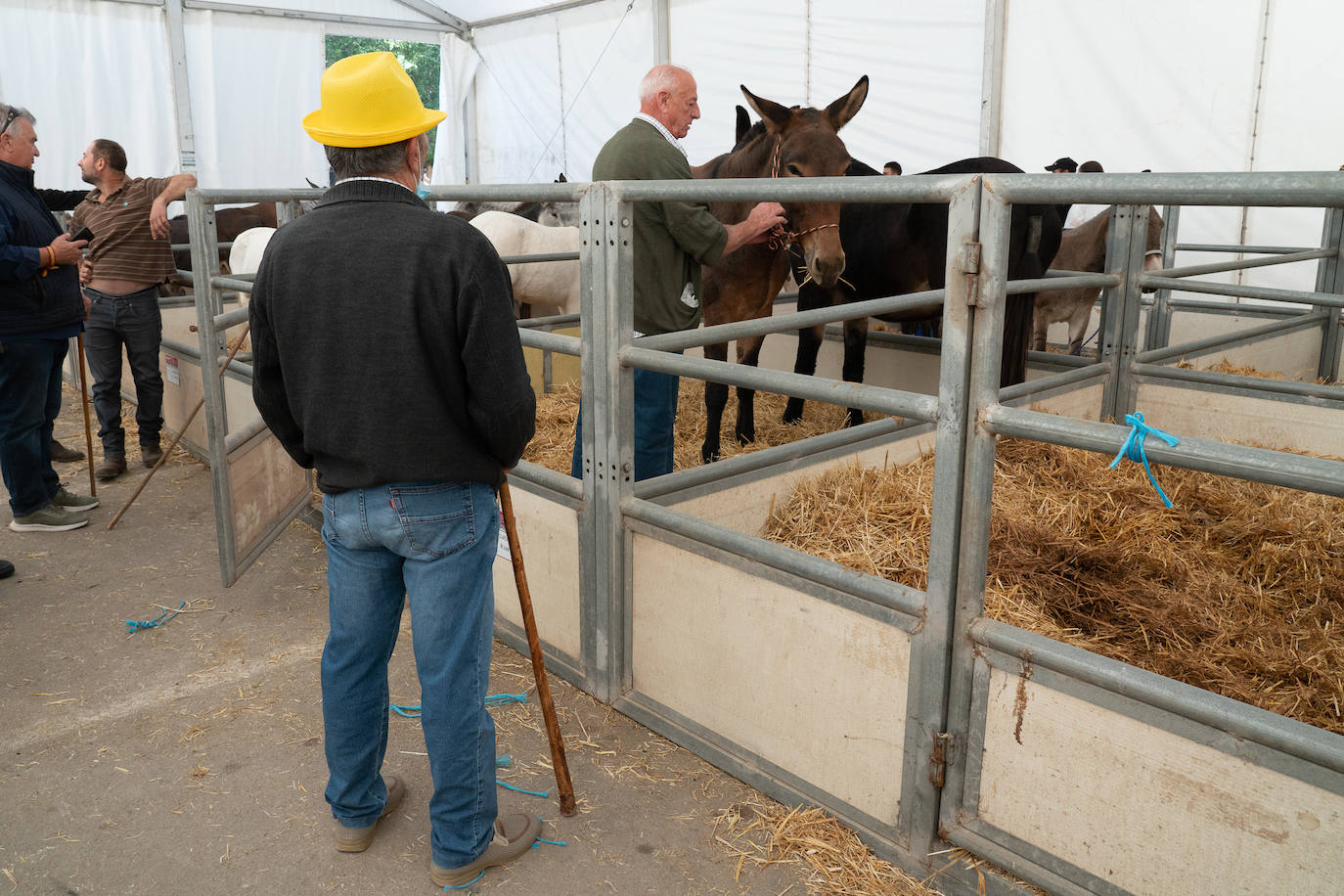 Fotos: Éxito de ventas de caballo cruzado en la Feria de Lorca