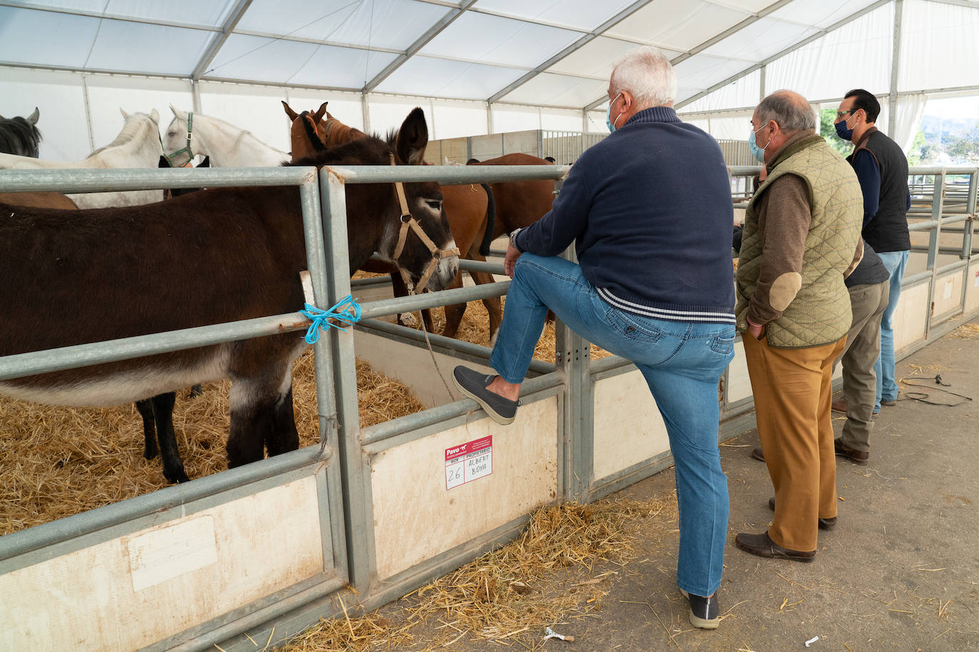 Fotos: Éxito de ventas de caballo cruzado en la Feria de Lorca