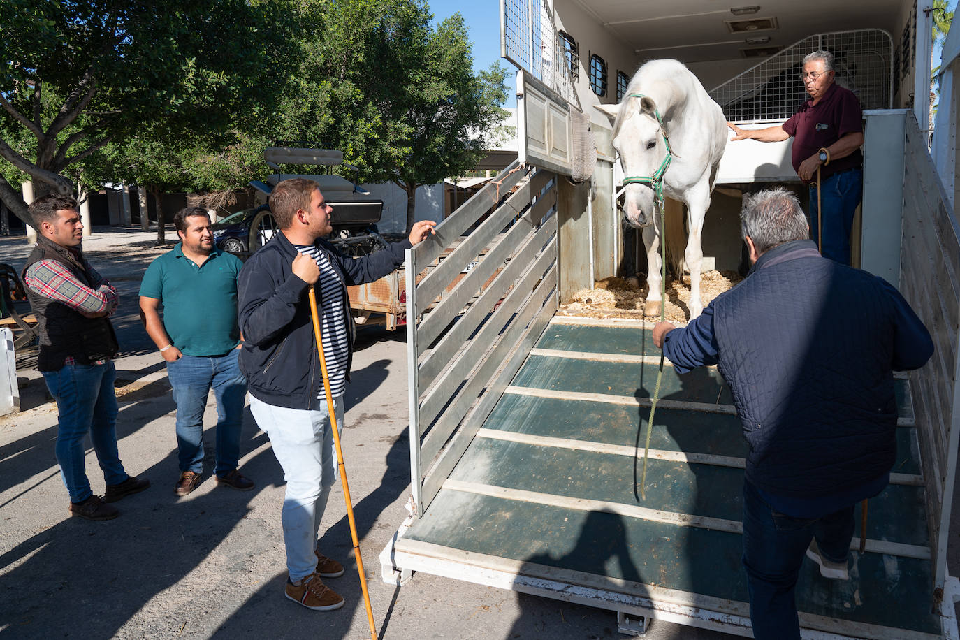 Fotos: Éxito de ventas de caballo cruzado en la Feria de Lorca