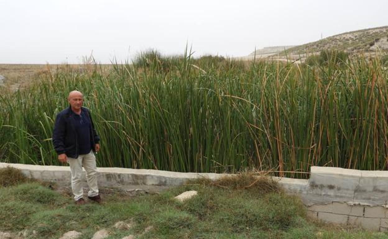 El concejal de IU Pedro Sosa junto al muro del río, en una imagen de archivo. 