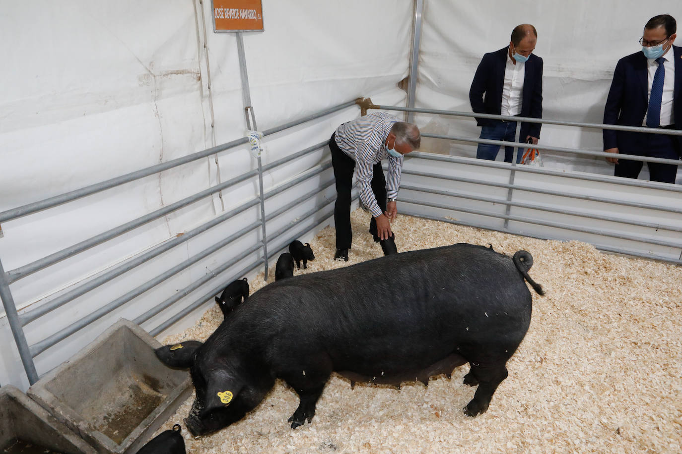 Fotos: Sepor abre su 54 edición