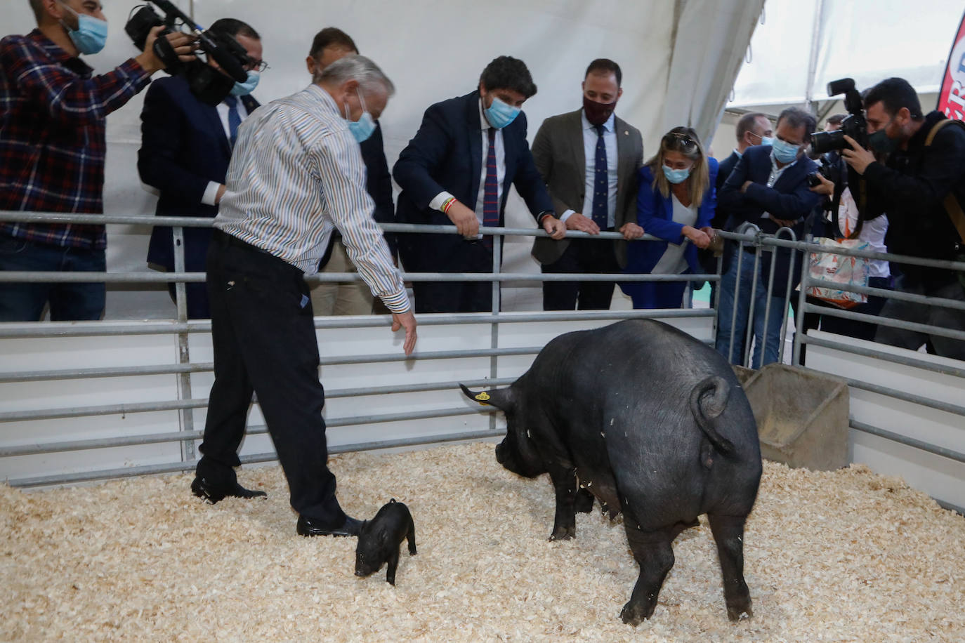 Fotos: Sepor abre su 54 edición