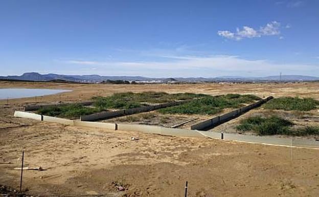 Parcelas experimentales de la Sierra Minera dedicadas al estudio de la Universidad Politécnica de Cartagena. 