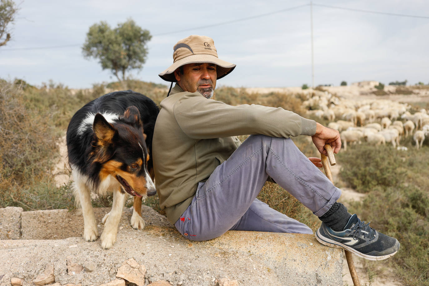 Fotos: Los pastores de la Región vuelven a sacar sus rebaños