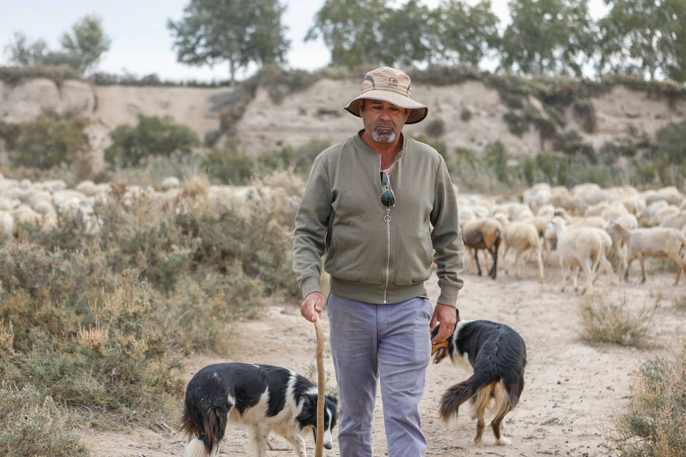 Fotos: Los pastores de la Región vuelven a sacar sus rebaños