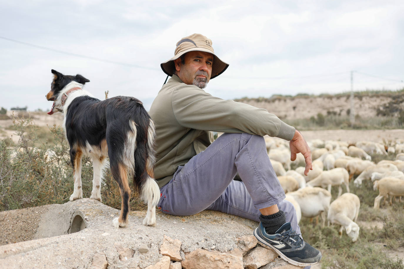 Fotos: Los pastores de la Región vuelven a sacar sus rebaños