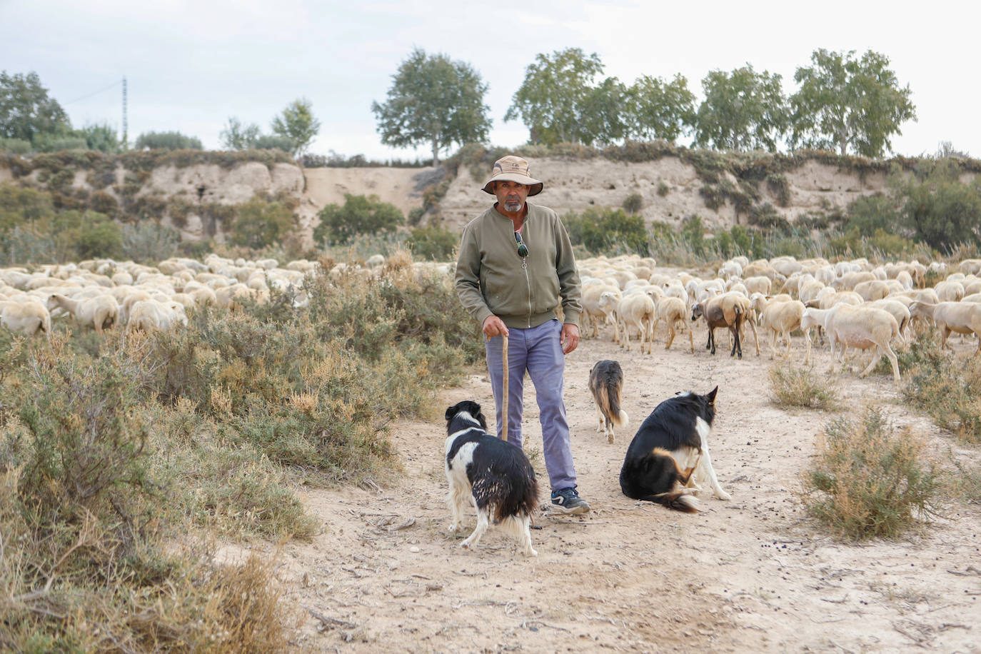 Fotos: Los pastores de la Región vuelven a sacar sus rebaños