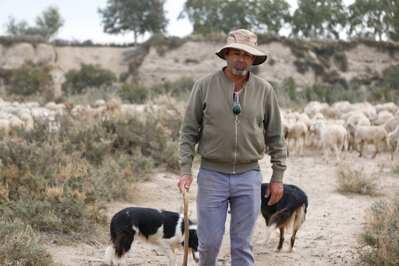 Fotos: Los pastores de la Región vuelven a sacar sus rebaños