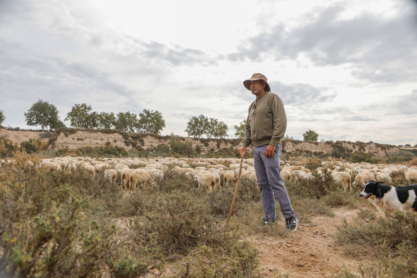 Fotos: Los pastores de la Región vuelven a sacar sus rebaños
