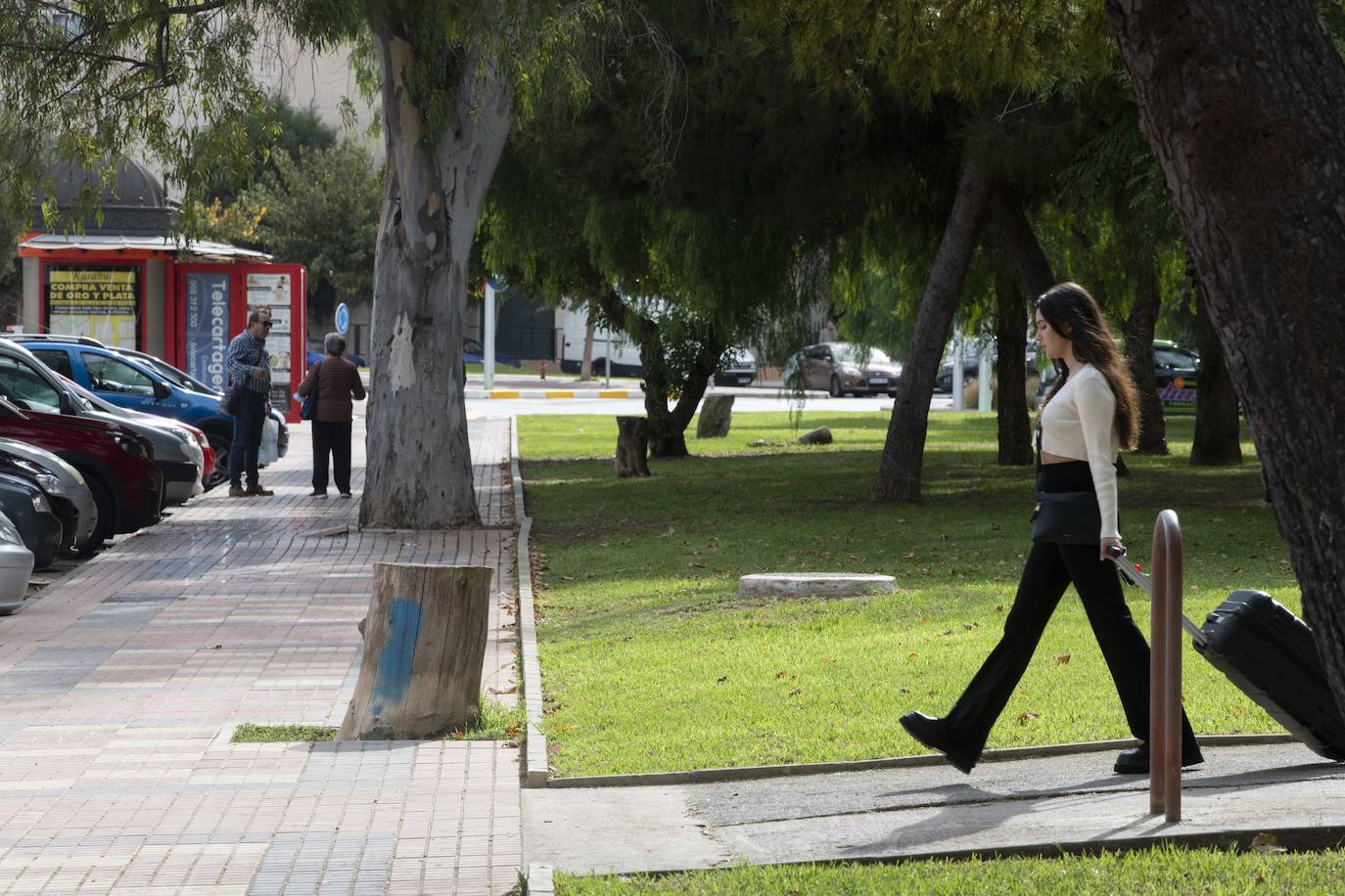 Fotos: Calles, plazas y parques de Cartagena acusan el retraso en reponer árboles