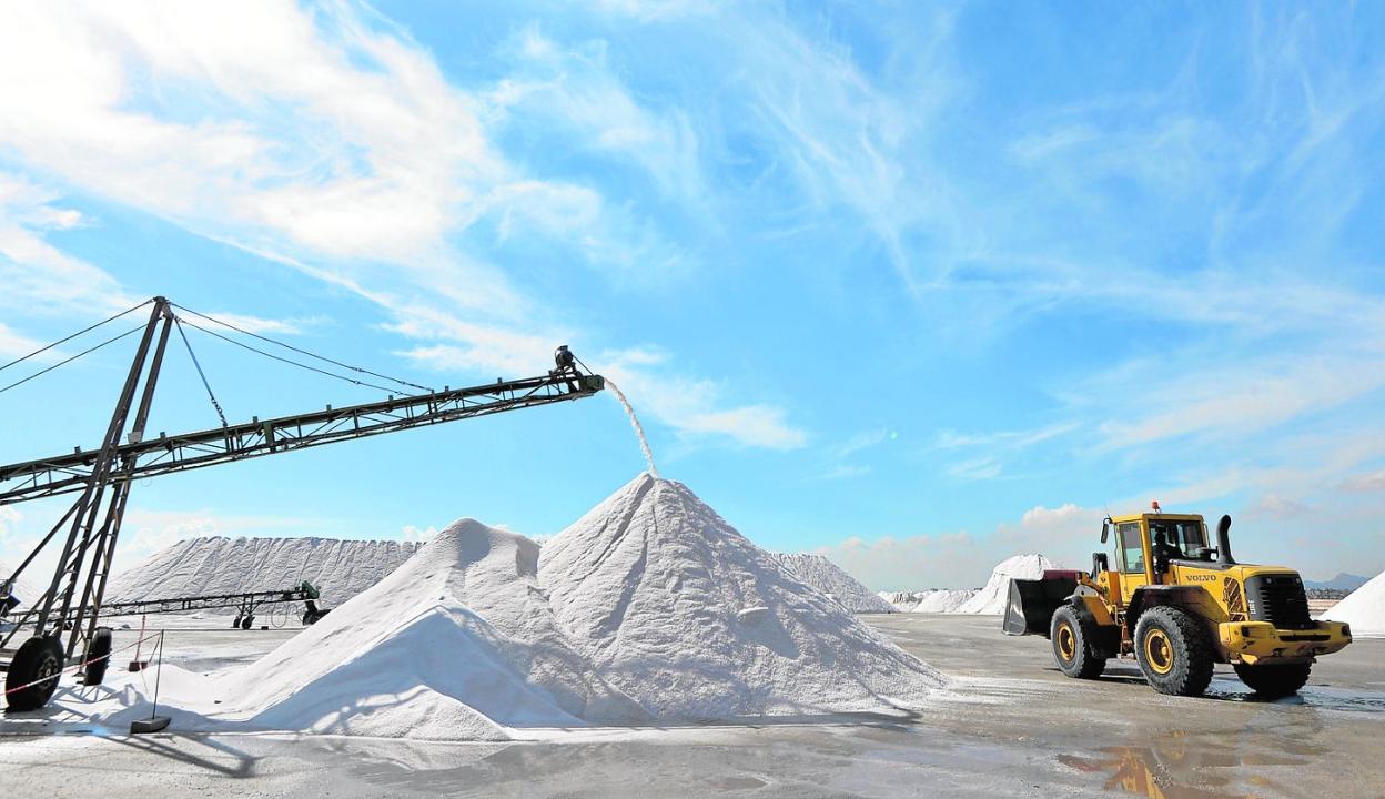 Acumulación de sal en la explotación de Salinera Española, en San Pedro del Pinatar. 