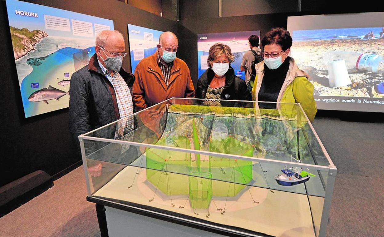 Biodiversidad de las reservas marinas