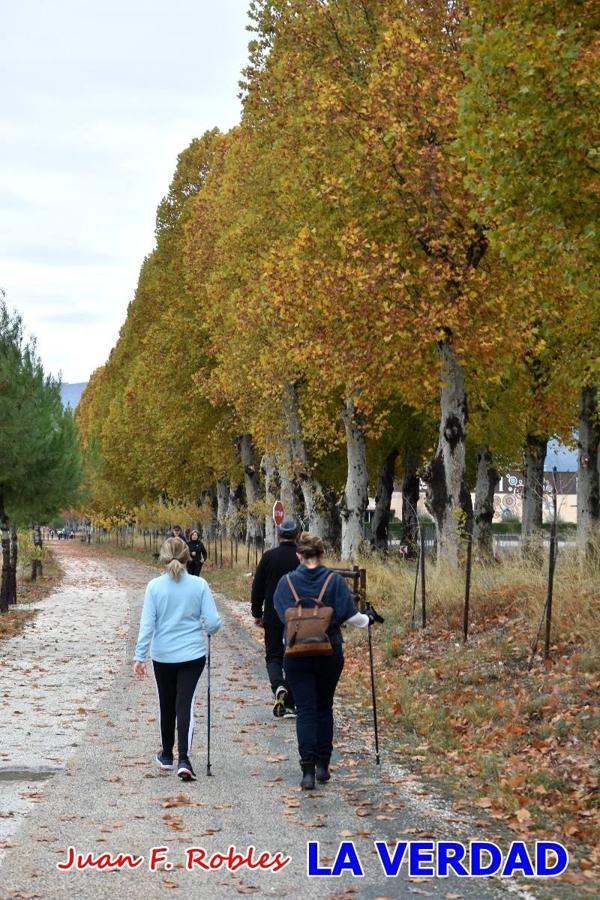 Unas 200 personas de Granja de Rocamora, Abanilla y Ulea finalizaron ayer el recorrido, a pide, de los 120 kilómetros que separan la localidad alicantina de Caravaca de la Cruz. Los cuatro municipios comparten la devoción a sendos Lignum Crucis que se veneran en cada una de las localidades. Ayer recorrieron la última etapa, desde Bullas hasta basílica de la Vera Cruz en una ceremonia oficiada por el rector, Emilio Sánchez, y en la que estuvieron presentes los representantes de las instituciones religiosas que organizaban la peregrinación y una representación de los ocho Ayuntamientos que atraviesa este camino.