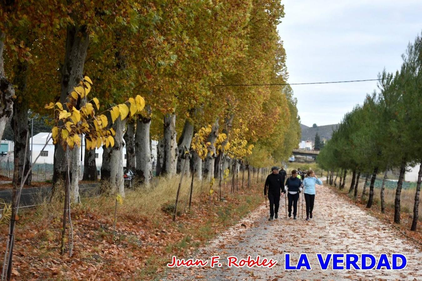 Unas 200 personas de Granja de Rocamora, Abanilla y Ulea finalizaron ayer el recorrido, a pide, de los 120 kilómetros que separan la localidad alicantina de Caravaca de la Cruz. Los cuatro municipios comparten la devoción a sendos Lignum Crucis que se veneran en cada una de las localidades. Ayer recorrieron la última etapa, desde Bullas hasta basílica de la Vera Cruz en una ceremonia oficiada por el rector, Emilio Sánchez, y en la que estuvieron presentes los representantes de las instituciones religiosas que organizaban la peregrinación y una representación de los ocho Ayuntamientos que atraviesa este camino.