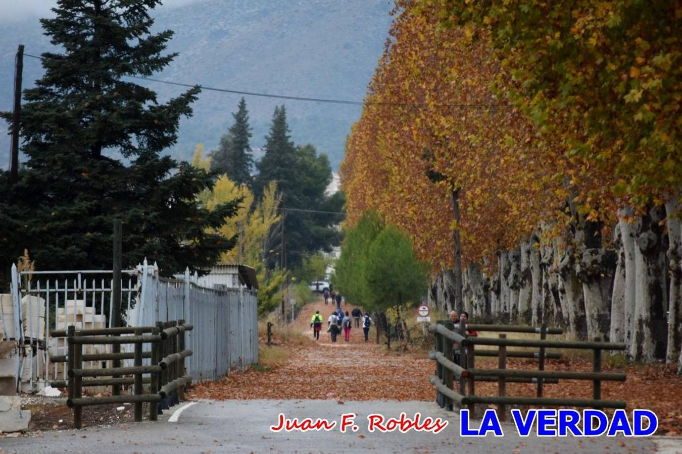 Unas 200 personas de Granja de Rocamora, Abanilla y Ulea finalizaron ayer el recorrido, a pide, de los 120 kilómetros que separan la localidad alicantina de Caravaca de la Cruz. Los cuatro municipios comparten la devoción a sendos Lignum Crucis que se veneran en cada una de las localidades. Ayer recorrieron la última etapa, desde Bullas hasta basílica de la Vera Cruz en una ceremonia oficiada por el rector, Emilio Sánchez, y en la que estuvieron presentes los representantes de las instituciones religiosas que organizaban la peregrinación y una representación de los ocho Ayuntamientos que atraviesa este camino.