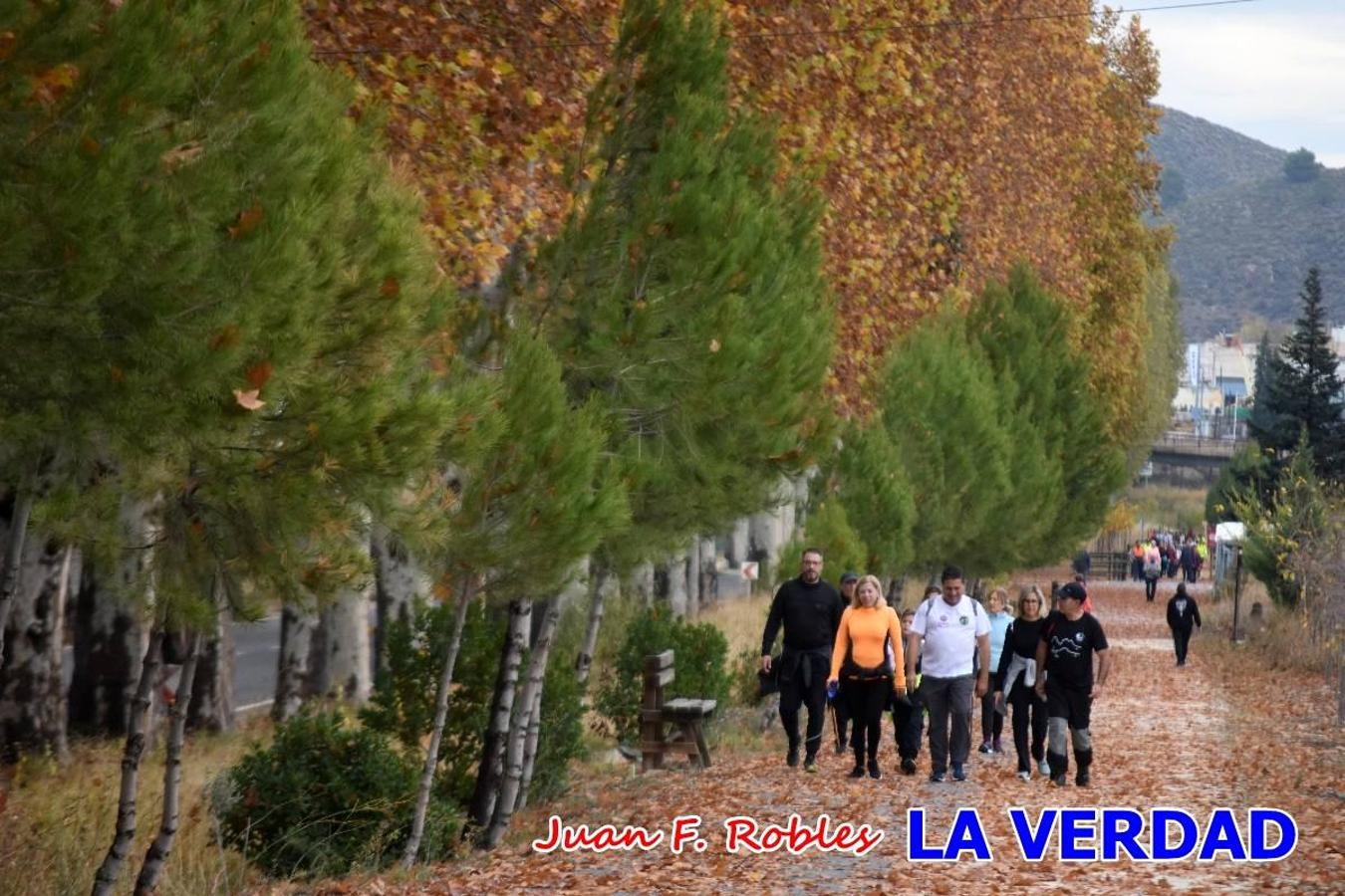 Unas 200 personas de Granja de Rocamora, Abanilla y Ulea finalizaron ayer el recorrido, a pide, de los 120 kilómetros que separan la localidad alicantina de Caravaca de la Cruz. Los cuatro municipios comparten la devoción a sendos Lignum Crucis que se veneran en cada una de las localidades. Ayer recorrieron la última etapa, desde Bullas hasta basílica de la Vera Cruz en una ceremonia oficiada por el rector, Emilio Sánchez, y en la que estuvieron presentes los representantes de las instituciones religiosas que organizaban la peregrinación y una representación de los ocho Ayuntamientos que atraviesa este camino.