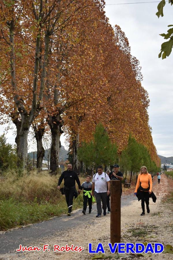 Unas 200 personas de Granja de Rocamora, Abanilla y Ulea finalizaron ayer el recorrido, a pide, de los 120 kilómetros que separan la localidad alicantina de Caravaca de la Cruz. Los cuatro municipios comparten la devoción a sendos Lignum Crucis que se veneran en cada una de las localidades. Ayer recorrieron la última etapa, desde Bullas hasta basílica de la Vera Cruz en una ceremonia oficiada por el rector, Emilio Sánchez, y en la que estuvieron presentes los representantes de las instituciones religiosas que organizaban la peregrinación y una representación de los ocho Ayuntamientos que atraviesa este camino.