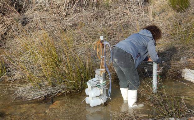 Una investigadora trabajando en un muestreo en campo sobre sumideros de CO2 en sedimentos. 