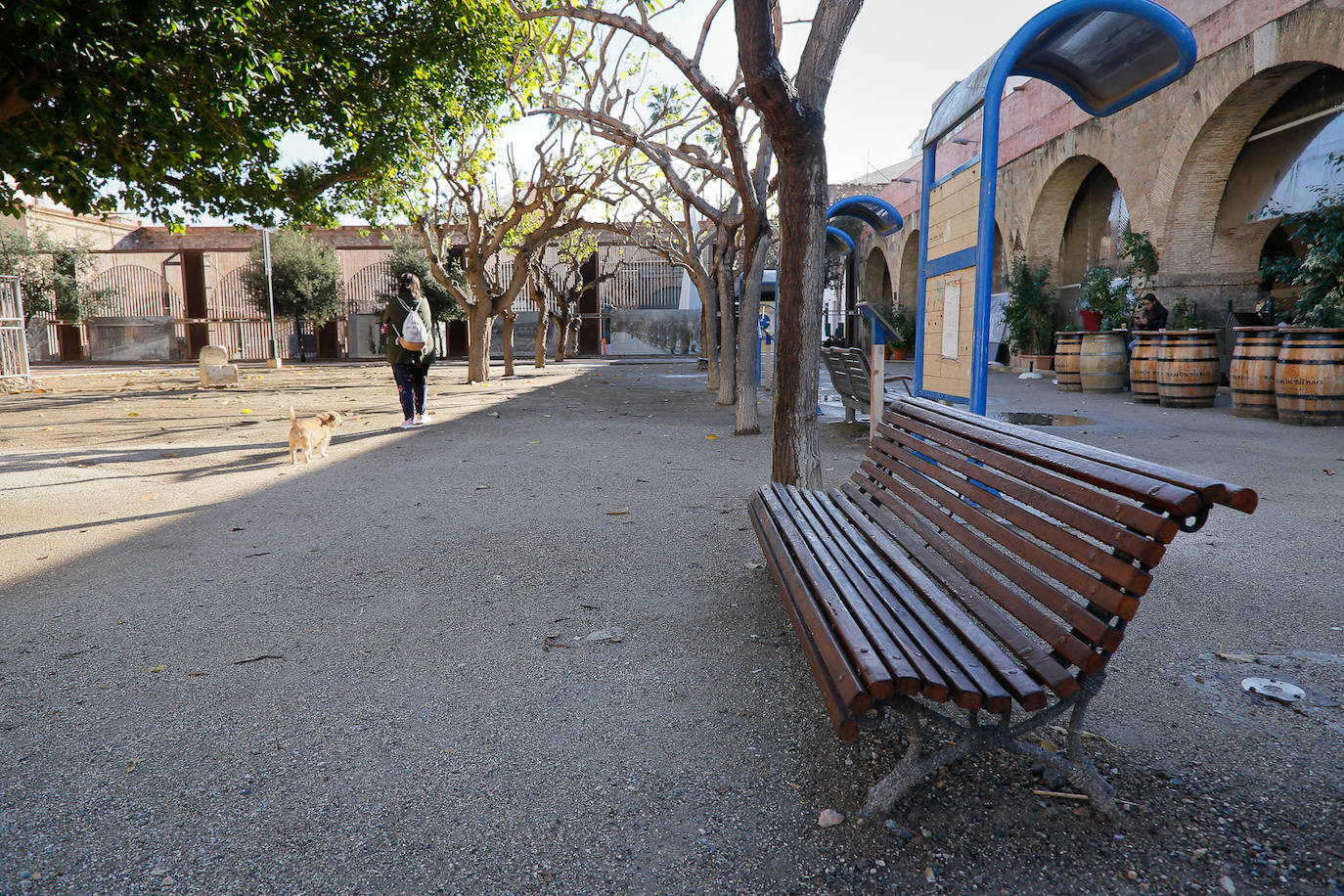 Fotos: Desperfectos de la Plaza Juan XXIII de Cartagena
