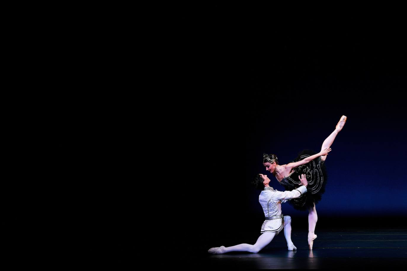 Fotos: La danza de los cisnes