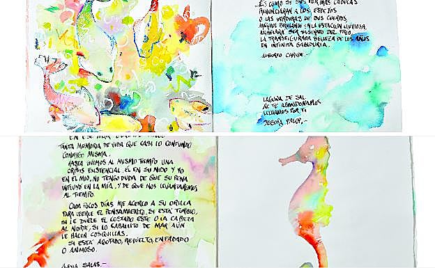 Mar Menor. Coloridas pinturas en papel de Álvaro Peña en homenaje a la fauna de la laguna salada.