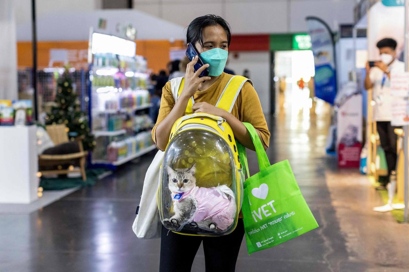 Fotos: Capricho de mascotas