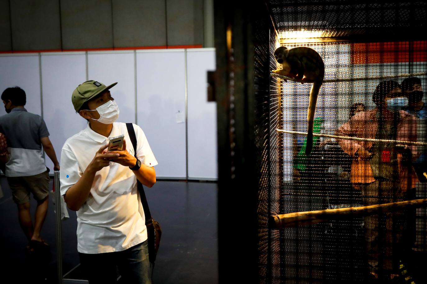 Fotos: Capricho de mascotas