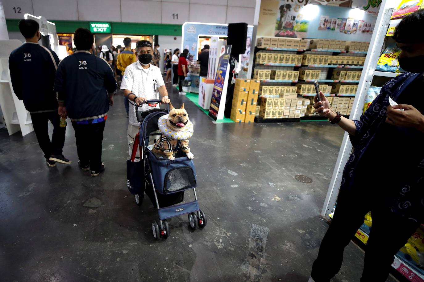 Fotos: Capricho de mascotas