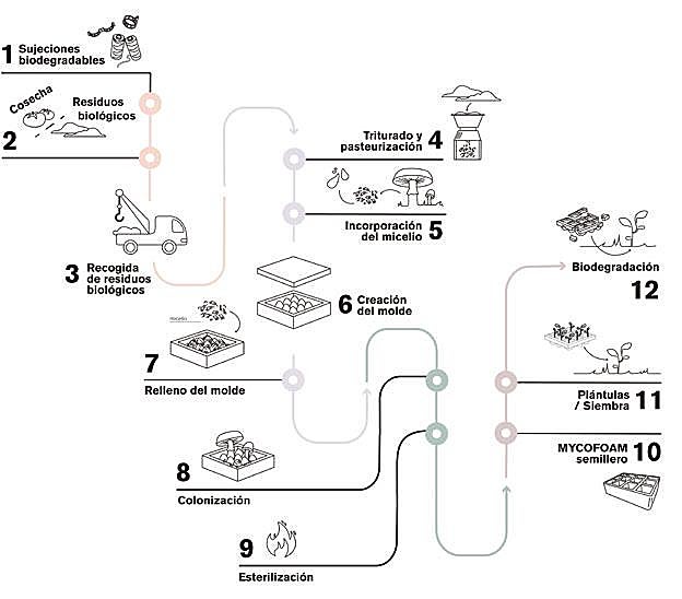 Un semillero biodegradable sigue este proceso de elaboración. 
