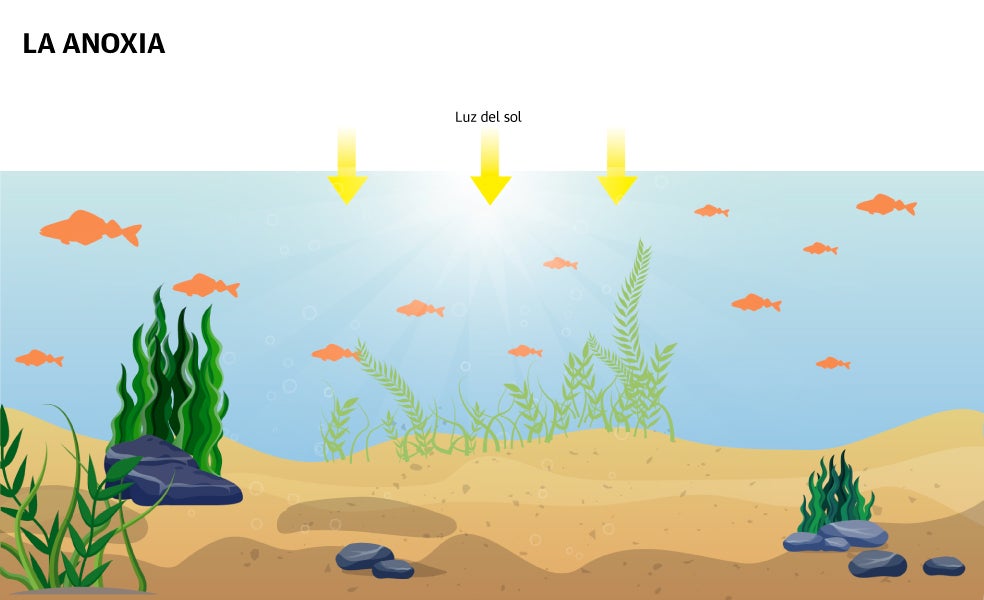 Scroll Story imagen 0