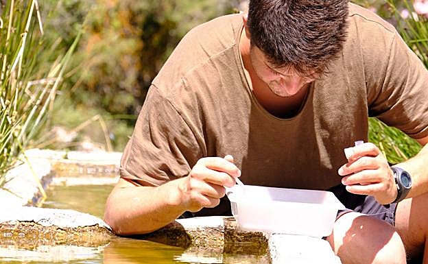 José Manuel Zamora en uno de sus trabajos de campo. 