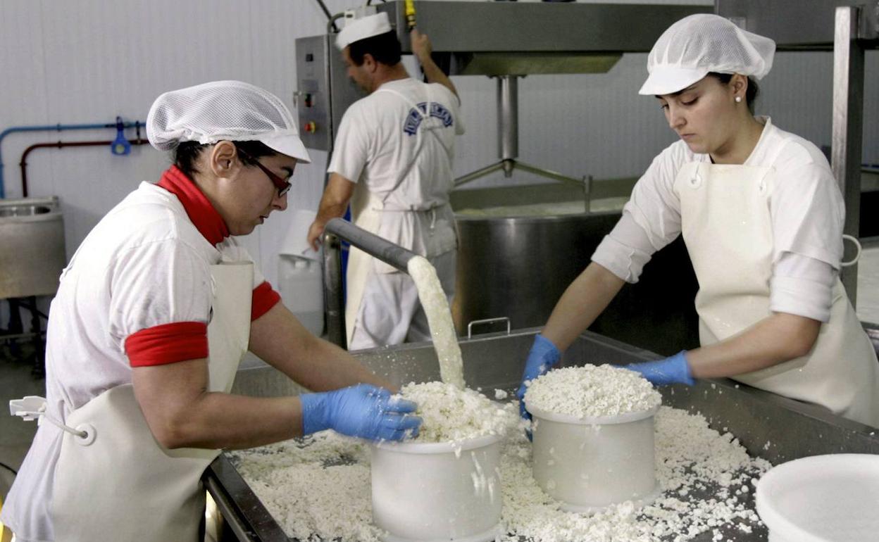 Actividad en una quesería, en una imagen tomada antes de la pandemia. 