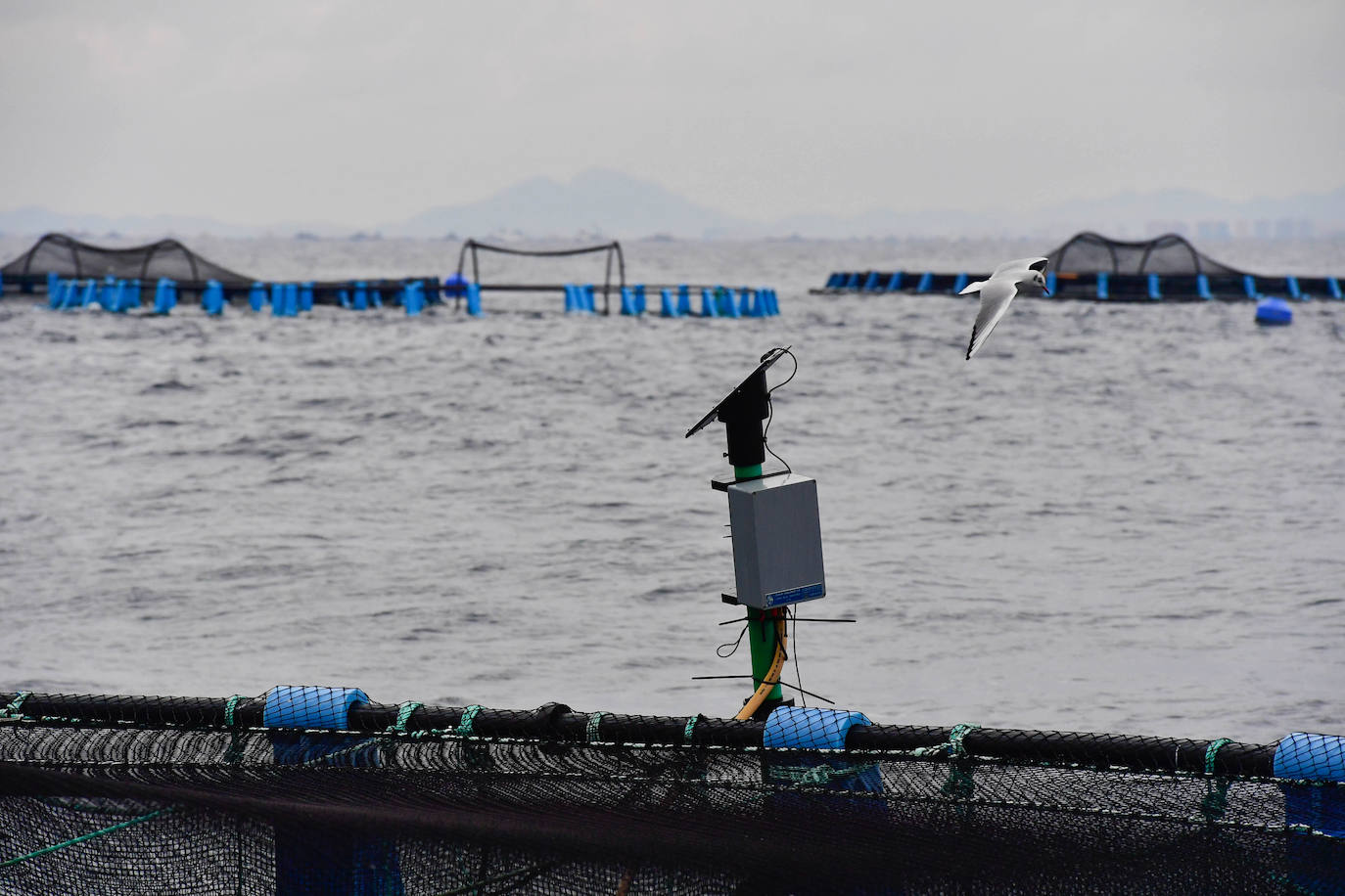 Fotos: Un sistema inteligente pionero reduce el impacto ambiental y el coste de la acuicultura
