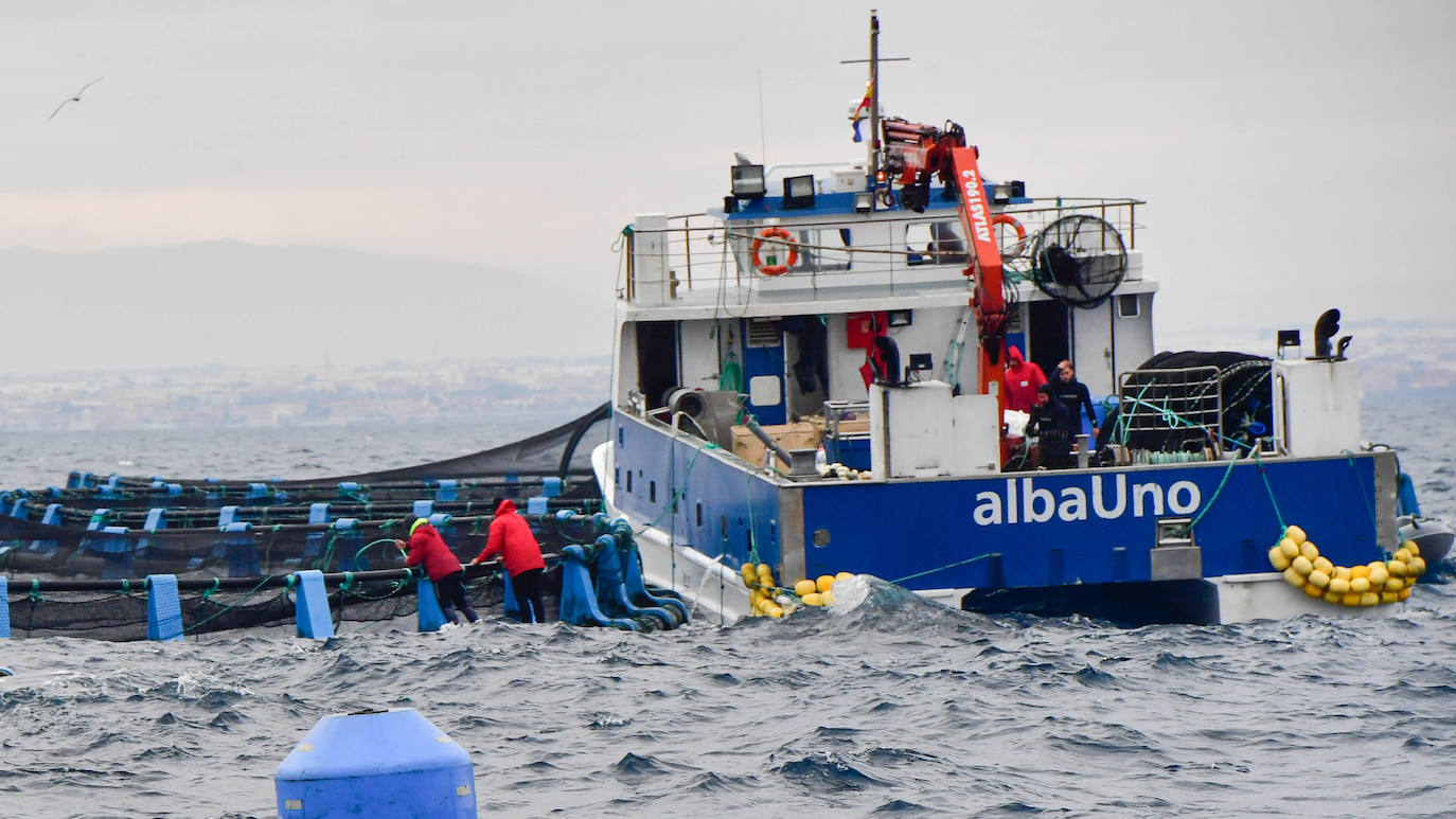 Fotos: Un sistema inteligente pionero reduce el impacto ambiental y el coste de la acuicultura