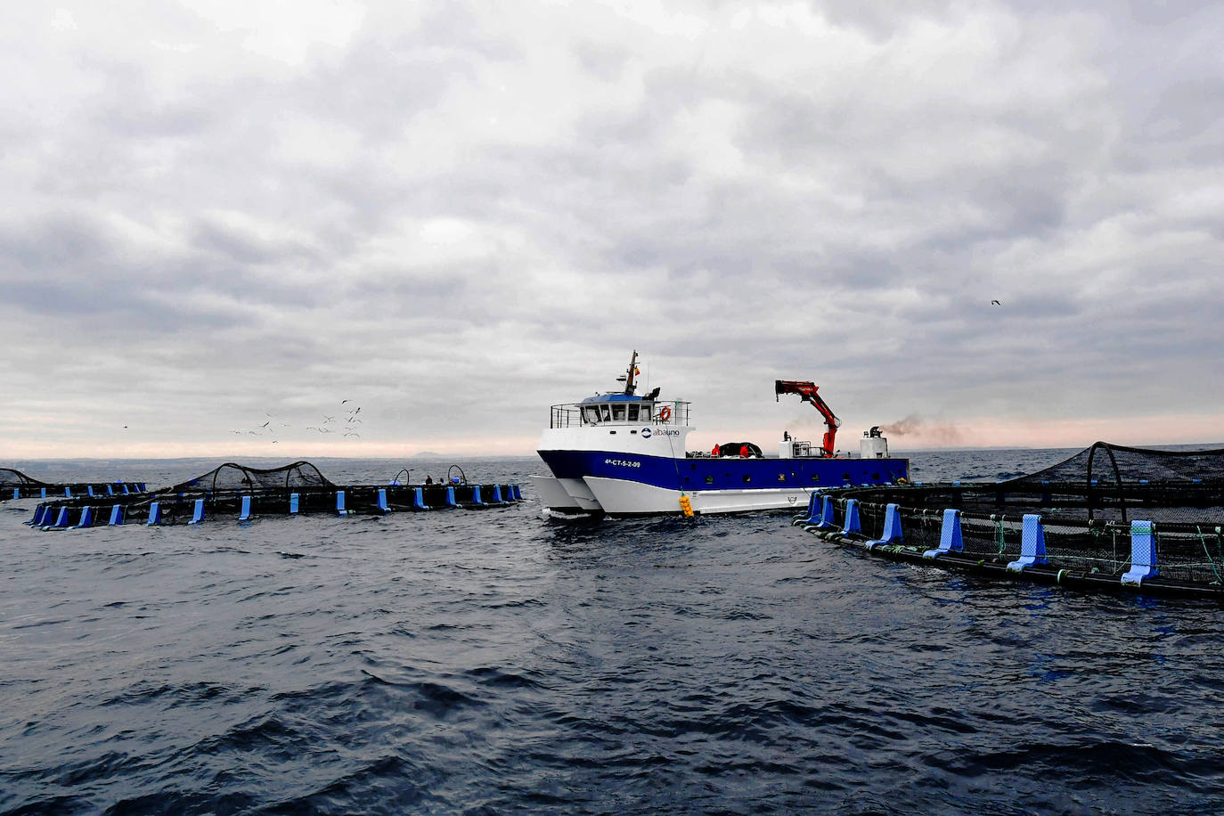 Fotos: Un sistema inteligente pionero reduce el impacto ambiental y el coste de la acuicultura