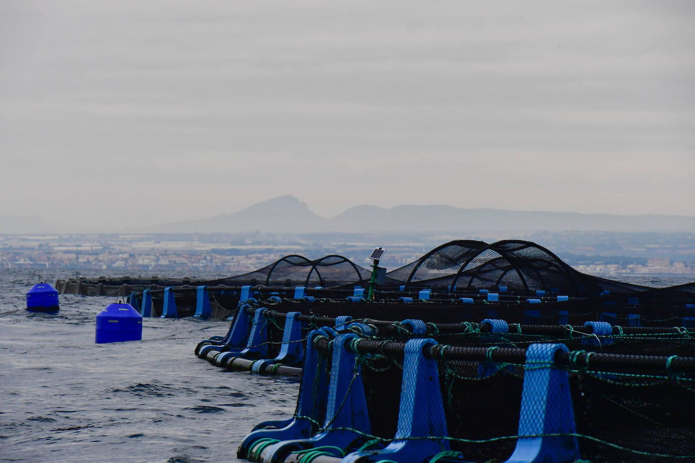 Fotos: Un sistema inteligente pionero reduce el impacto ambiental y el coste de la acuicultura