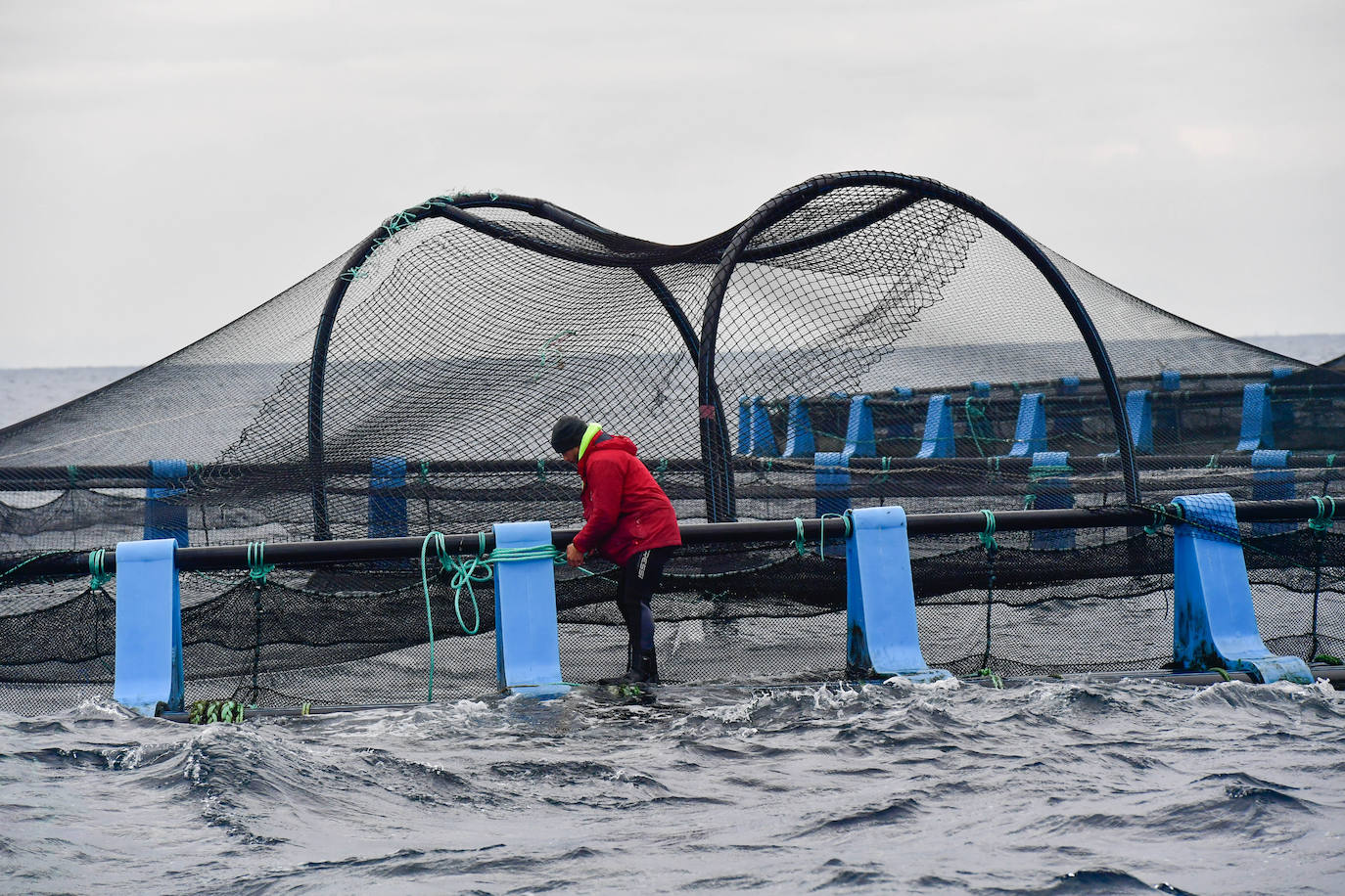 Fotos: Un sistema inteligente pionero reduce el impacto ambiental y el coste de la acuicultura