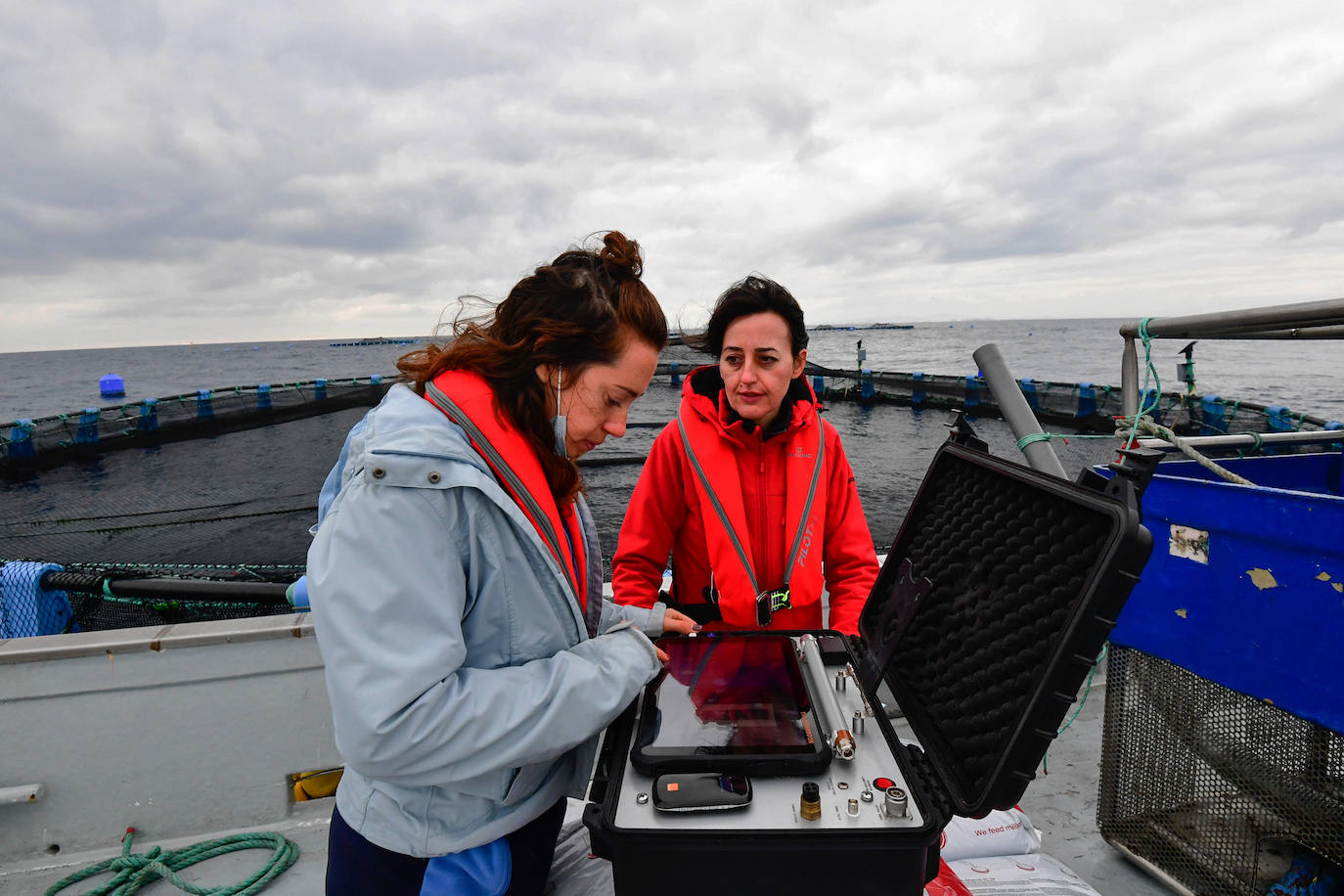 Fotos: Un sistema inteligente pionero reduce el impacto ambiental y el coste de la acuicultura