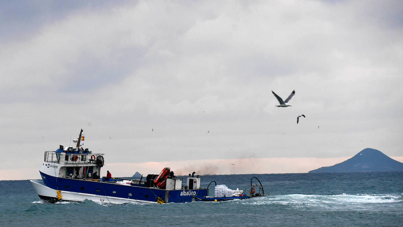 Fotos: Un sistema inteligente pionero reduce el impacto ambiental y el coste de la acuicultura