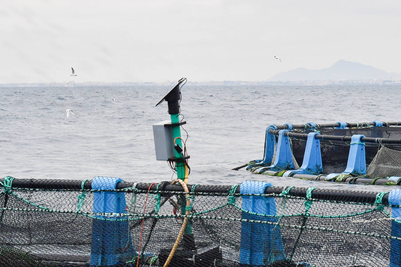 Fotos: Un sistema inteligente pionero reduce el impacto ambiental y el coste de la acuicultura