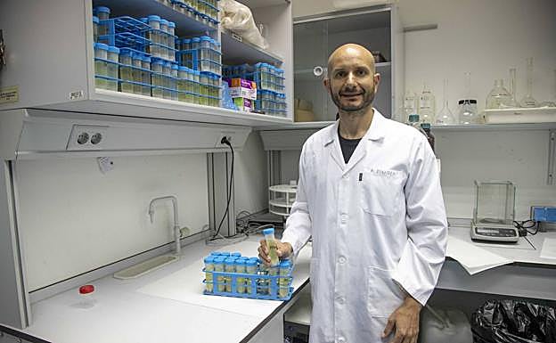 El investigador Raúl Zornoza. 