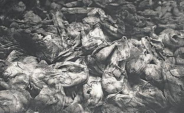 La imagen principal de los zapatos exige, dice el fotógrafo, «una mirada pausada y de mucho tiempo». 