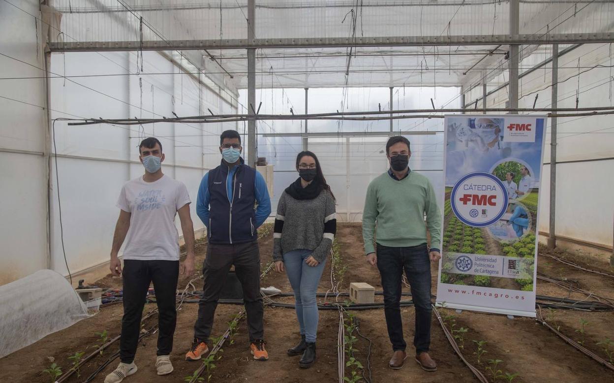 Alejandro Pérez Pastor, con tres doctorandos de la UPCT, en un cultivo experimental de pimientos en Cartagena. 