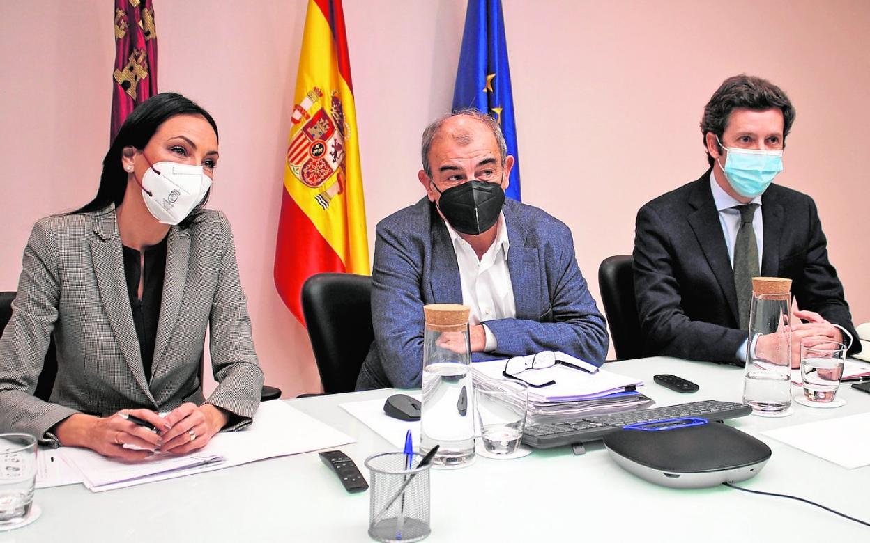 La consejera Valle Miguélez y Juan Antonio Pedreño (c), ayer, durante el encuentro virtual. 