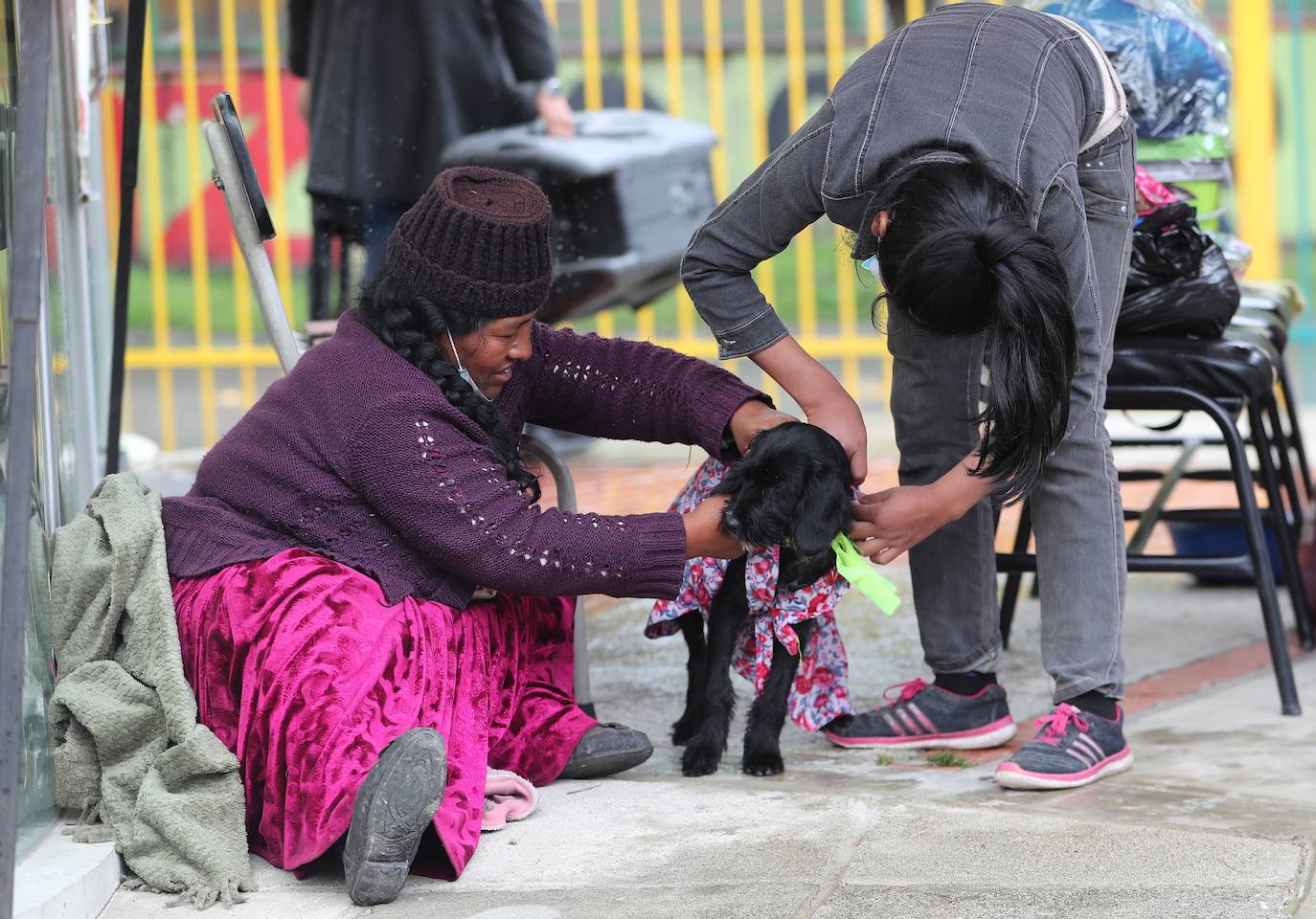 Fotos: Disfraces y vacunas por Navidad