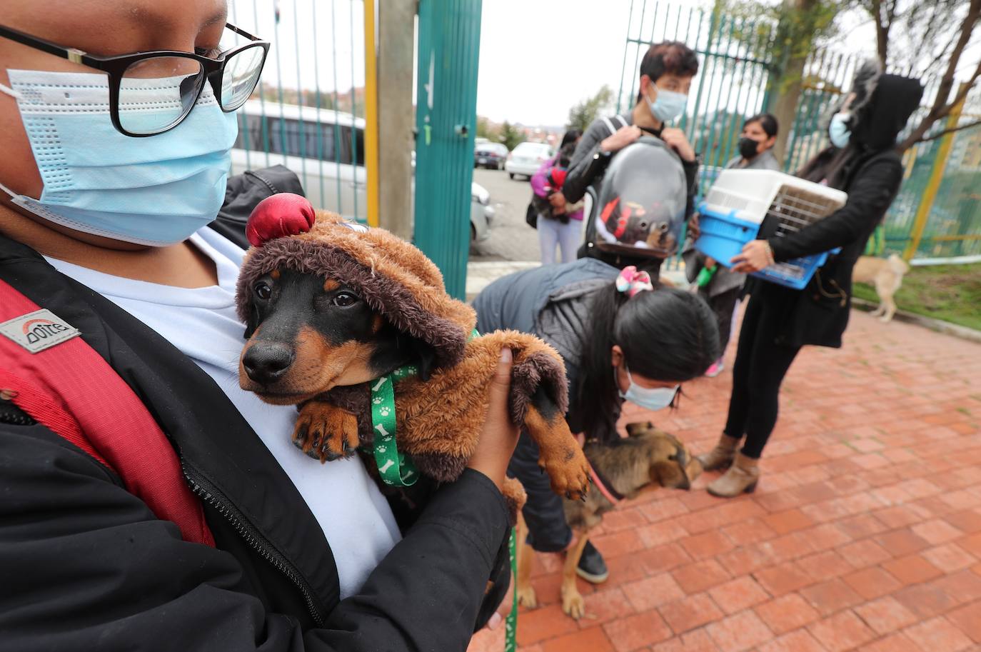 Fotos: Disfraces y vacunas por Navidad