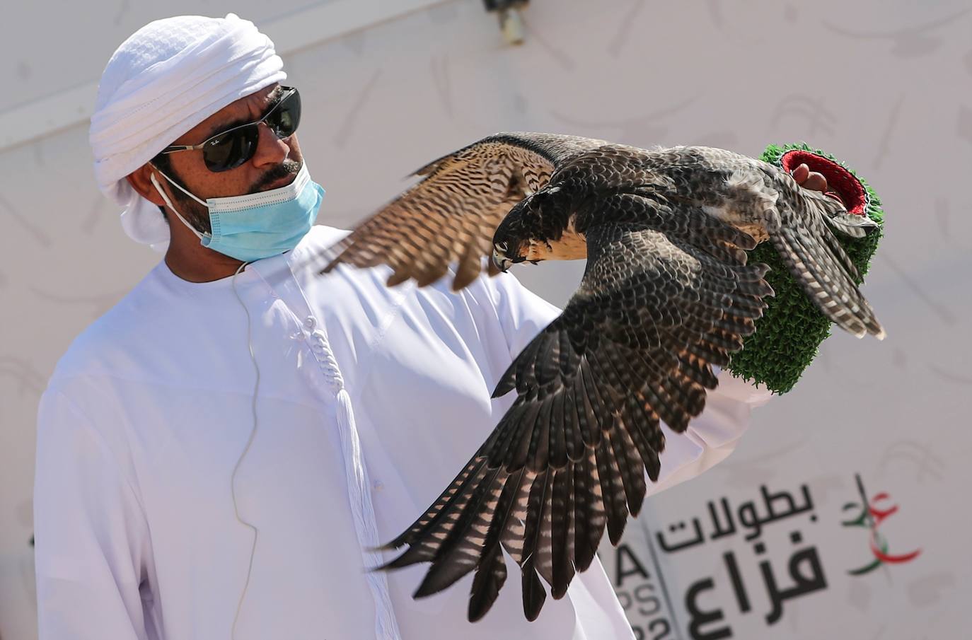 Fotos: Campeonato de Cetrería en Dubái