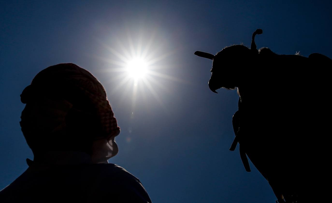 Fotos: Campeonato de Cetrería en Dubái